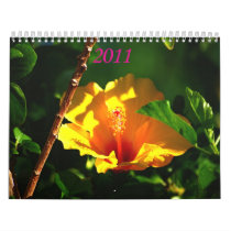Palm Springs Blooms Wall Calendars