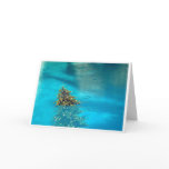Palm Springs Christmas Tree in Pool Card