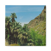 Palm Springs magnets