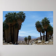 palm springs poster