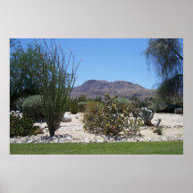 palm springs posters