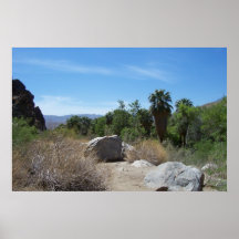palm springs print