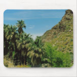 Palm Springs Scene Mouse Mat