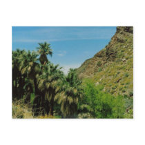 Palm Springs Scene postcards by quetzal323 Palm Springs Scene postcards