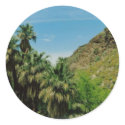 Palm Springs Scene stickers by quetzal323 Palm Springs Scene stickers