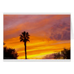 Palm Springs Sunset cards