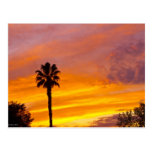 Palm Springs Sunset postcards