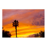 Palm Springs Sunset posters