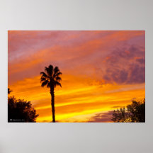 Palm Springs Sunset Poster