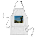 Palm Springs View aprons