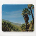 Palm Springs View mousepad