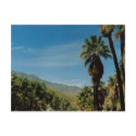 Palm Springs View postcards by quetzal323 Palm Springs View postcards