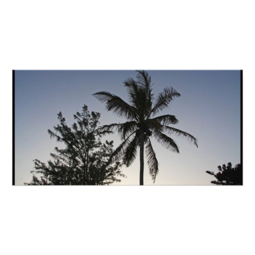 Palm Sunset Customized Photo Card