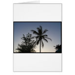 Palm Sunset Greeting Cards