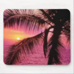 Palm Sunset mousepads