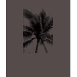 Palm Tee
