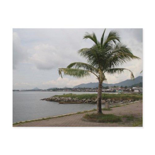 Palm tree