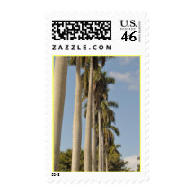 Palm Tree Alley Postage Stamps