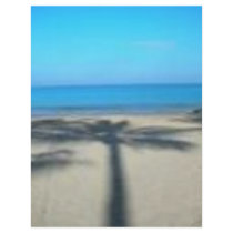 Palm tree and beach custom flyer