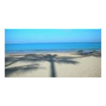 Palm tree and beach photo cards