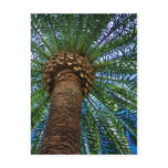 Palm Tree And Beach Wedding Invitation Post Card