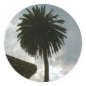 palm tree and clouds stickers