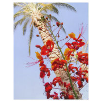Palm Tree and Red Flower flyers