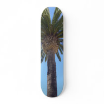 Palm Tree at San Diego, CA skateboards by shielarb Palm Tree at San Diego, CA skateboards