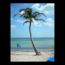 Palm Tree at the Beach posters
