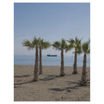 Palm Tree Beach flyers