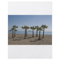 Palm Tree Beach flyers