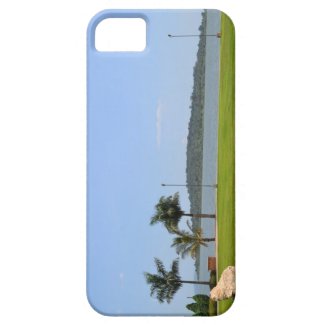 Palm Tree beach iPhone 5 Cover