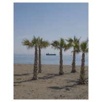 Palm Tree Beach letterhead