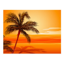 Palm Tree Beach Sunset Post Cards