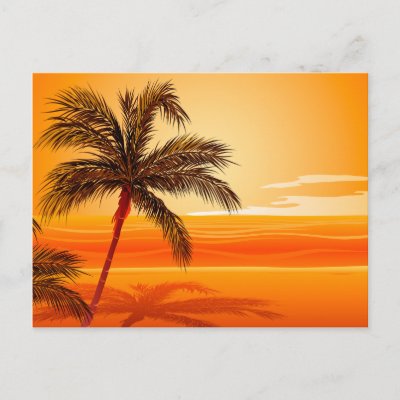 Palm Tree Beach Sunset Post Cards