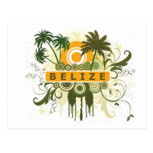 Palm Tree Belize Postcards
