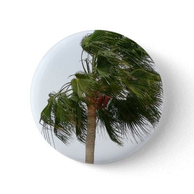Palm Tree Blowing In The Wind Pinback Button by lifesphere