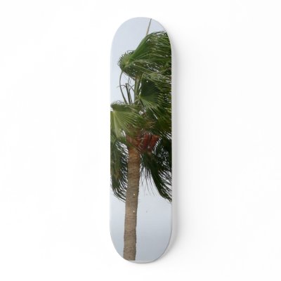 Palm Tree Blowing In The Wind Skateboard by lifesphere