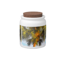 Palm Tree Branches, Afternoon Sun Candy Jars