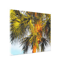 Palm Tree Branches, Afternoon Sun Canvas Print