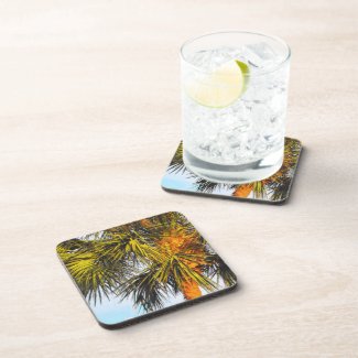 Palm Tree Branches, Afternoon Sun Beverage Coaster