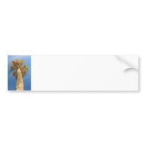 Palm Tree Bumper Stickers