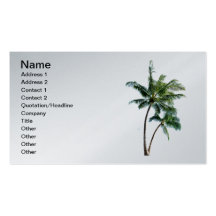 Palm Tree Business Card