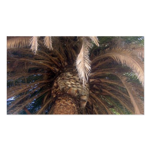 Palm Tree Business Cards (back side)