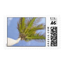 Palm Tree by the sea postage by sunrize78 Palm Tree by the sea postage
