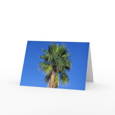 Palm Tree Card by camobabygifts