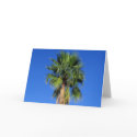 Palm Tree cards by camobabygifts Palm Tree cards