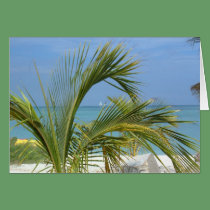 Palm Tree cards by defrias Palm Tree cards