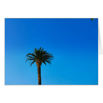 palm tree cards by DonnaGrayson palm tree cards