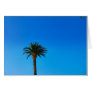 palm tree